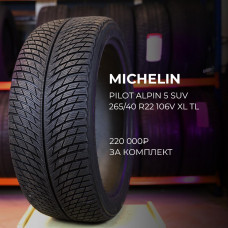 Michelin Pilot Alpin 5 SUV 305/40 R20 112V, N0 зимняя