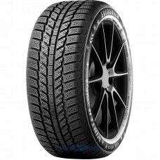 Evergreen EW62 205/65 R15 94H зимняя