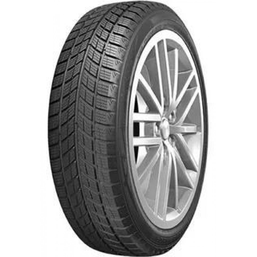 DoubleStar DW09 255/50 R19 107T зимняя